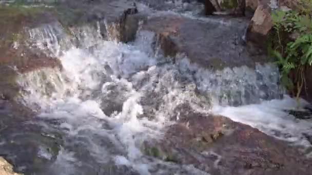 Cascatas de riachos florestais sobre pedras de granito — Vídeo de Stock