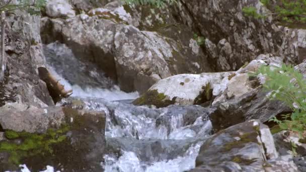 Κρυστάλλινα καθαρό ρεύμα βουνού τρέχει ανάμεσα σε βράχους — Αρχείο Βίντεο