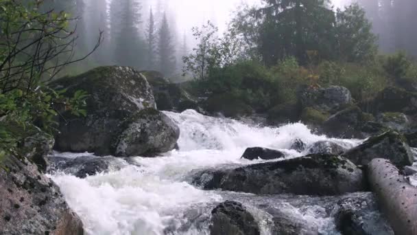 Мощный поток горной реки падает среди скал — стоковое видео