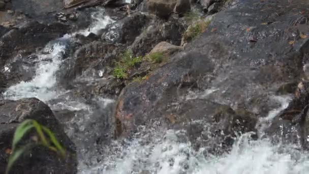 Vízesés a hegyi völgyben — Stock videók
