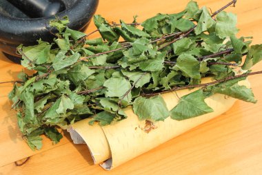 huş ağacı kabuğu ruloları