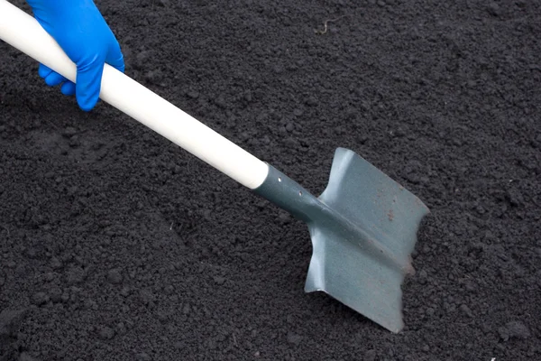 Лопата на полі, копаюча лунка з лопатою в полі — стокове фото