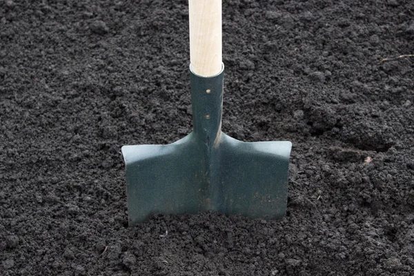 Pá no campo, cavando buraco com pá no campo — Fotografia de Stock