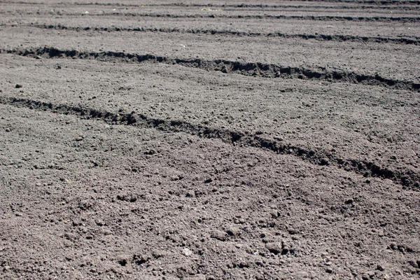 Freshly Plowed Field — Stock Photo, Image