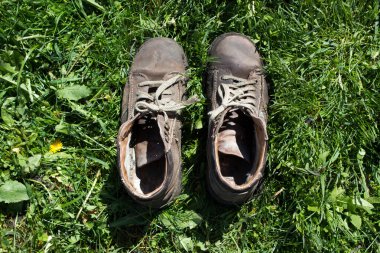 çim zemin üzerine çizme, vintage çimenlerin üzerinde çizme.