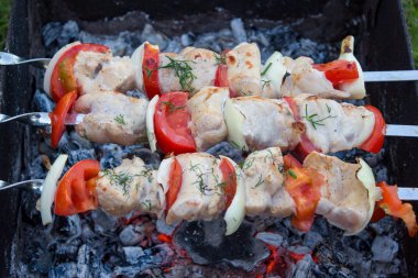 Izgarada ızgara şiş kebap..