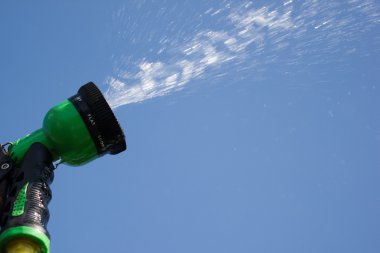 Watering lawn grass with a shower sprayer head