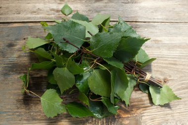 Green birch leaves on a wooden background