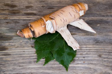 Green leaves and birch bark on a wooden background