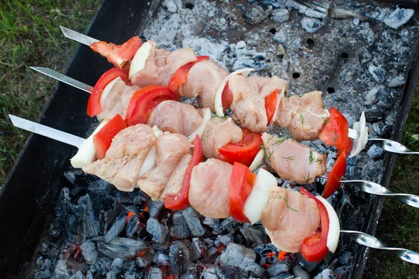 Grilling shashlik on barbecue grill. — Stock Photo, Image