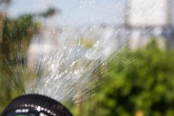 Watering lawn grass with a shower sprayer head — ストック写真