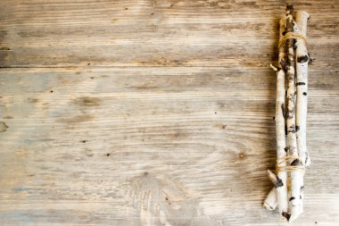 Birch tree trunks and branches on natural wood background. Copy space to right.