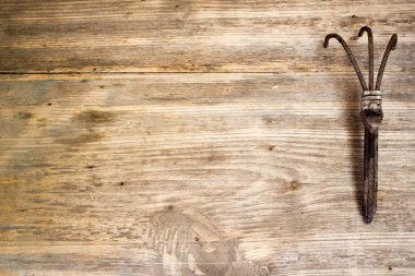 Pitchfork on a wooden background. Old garden tools. Copy space to right.