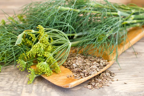 Dill and seeds on a wooden spoon