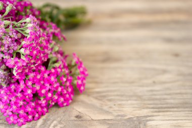 Civanperçemi çiçek, bitkisel bitkiler üzerinde kopya alanı ile ahşap masa