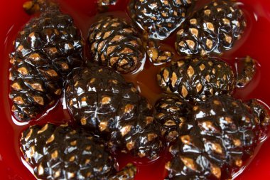 Yeşil çam kozalakları eski ahşap masa üzerinde reçel