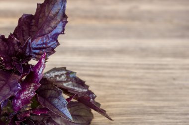 Kopya alanı ile ahşap arka plan üzerinde mor fesleğen yaprağı