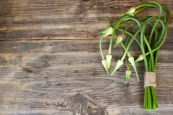 Bunches of freshly picked garlic scape on a wooden table with copy space — Stock Photo, Image