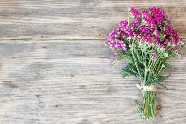 Civanperçemi çiçek, bitkisel bitkiler üzerinde kopya alanı ile ahşap masa