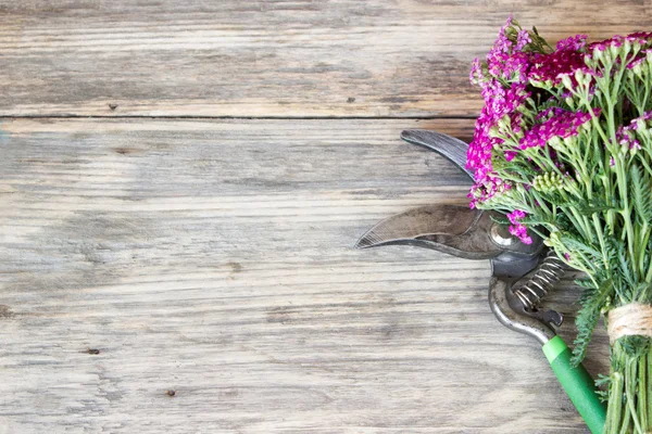 Duizendblad bloem, kruiden planten op houten tafel met kopie ruimte — Stockfoto