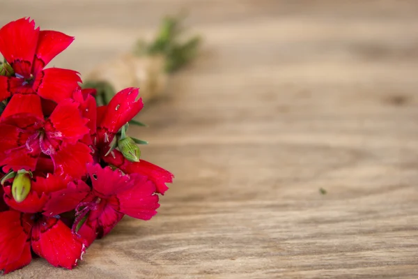 Red carnation over wooden table with copy space — Stock Photo, Image