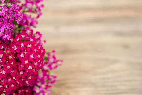 Цветок нити, травяные растения на деревянном столе с копировальным пространством — стоковое фото