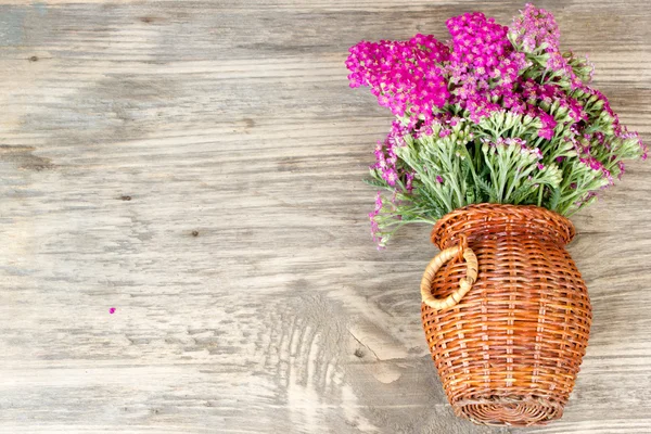 Цветок нити, травяные растения на деревянном столе с копировальным пространством — стоковое фото