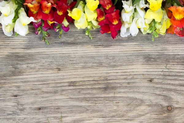 Rustic bouquet of snapdragon (Antirrhinum majus) on vintage wooden board with copy space — Stock Photo, Image