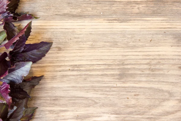 Violet kemangi daun di latar belakang kayu dengan ruang fotokopi — Stok Foto