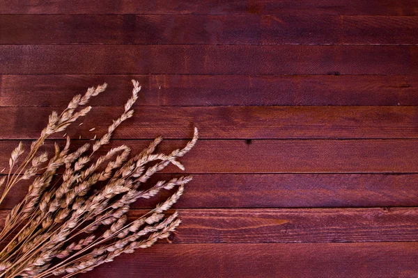 Orejas de trigo sobre un fondo de madera marrón. Copiar espacio a la derecha . — Foto de Stock