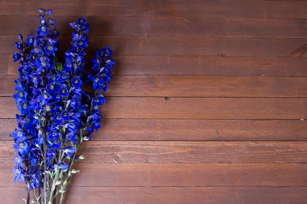 Purple foxglove flowers  on a wooden with copy space — Stock Photo, Image