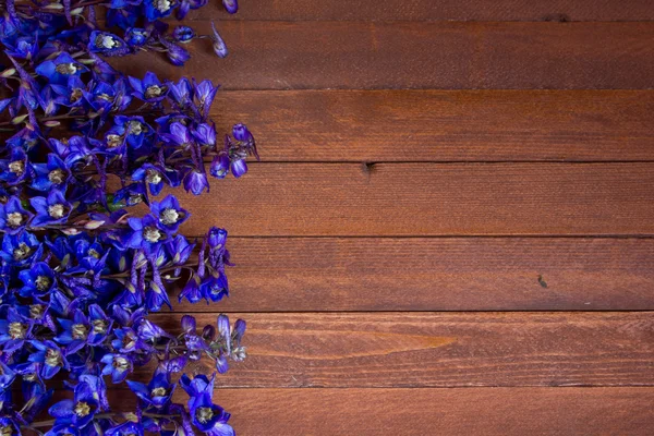 Lila gyűszűvirág virág egy fából készült másolat hely — Stock Fotó