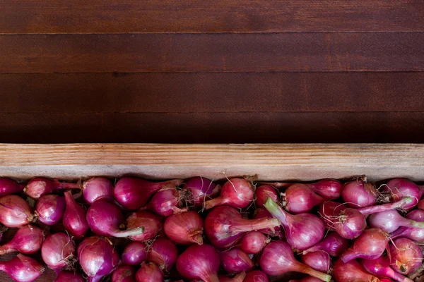 Cipolla rossa sul tavolo di legno — Foto Stock