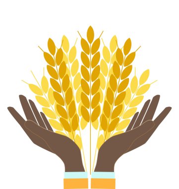 Holding buğday kulaklar, tarım, agrobusiness eller