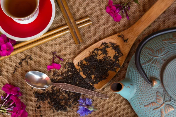 Schuss aus dem trockenen schwarzen Tee mit Blumen, eine Tasse auf Pralinenhintergrund — Stockfoto