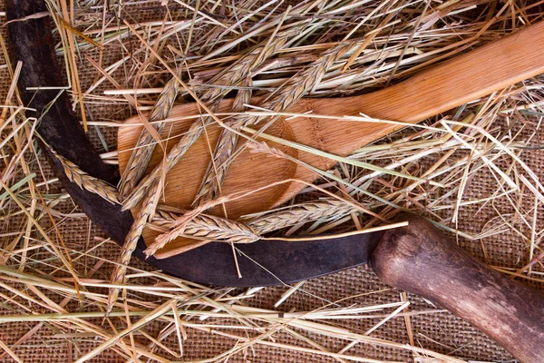 Foice e espigas de trigo na serapilheira — Fotografia de Stock