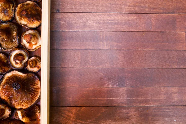 Mushrooms on wooden background — Stock Photo, Image