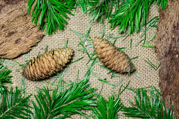 Fir cones and branches, Christmas and New Year's background — Stock Photo, Image