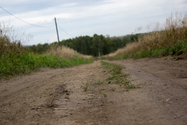 Dirt road in nature — Stock Photo, Image