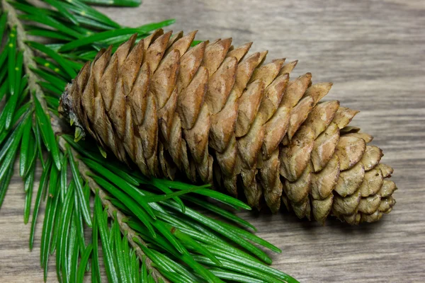 Tannenzapfen und Zweige, Weihnachten und Neujahr — Stockfoto