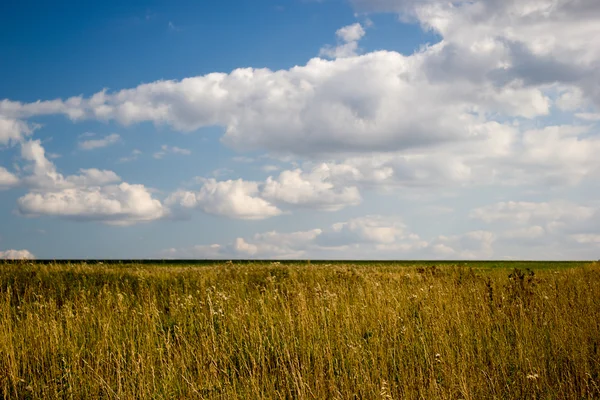 Landschap, herfst geel veld na de oogst van hooi — Stockfoto