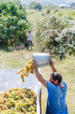 Svaneti, Georgia.2014 dağlarında dalgalar tahtaya Gürcü adam taşır