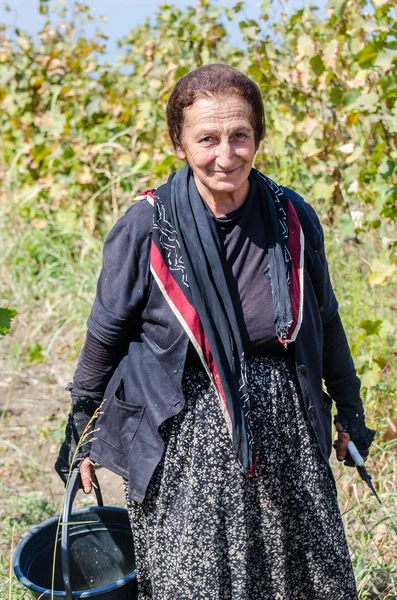 Georgiano carrega madeira nas ondas nas montanhas de Svaneti, Georgia.2014 — Fotografia de Stock