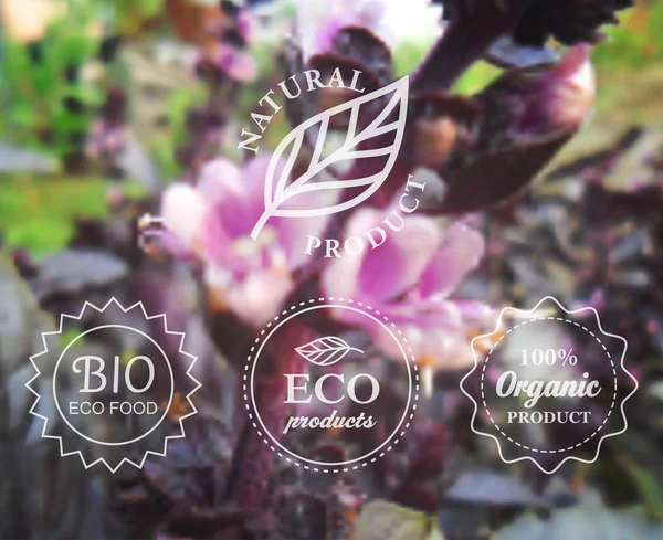 Tipografia vetorial rótulos ecológicos definidos no fundo embaçado flor primavera para cartão, banner ou web design . — Vetor de Stock