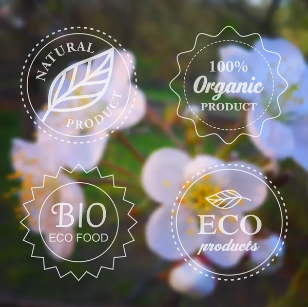 Vektor-Typografie Öko-Etiketten auf Frühlingsblume verschwommen Hintergrund für Karte, Banner oder Web-Design eingestellt. — Stockvektor