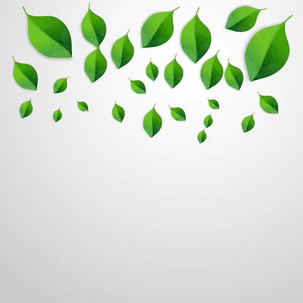 Весенний зеленый фон листьев. Зеленая концепция — стоковый вектор