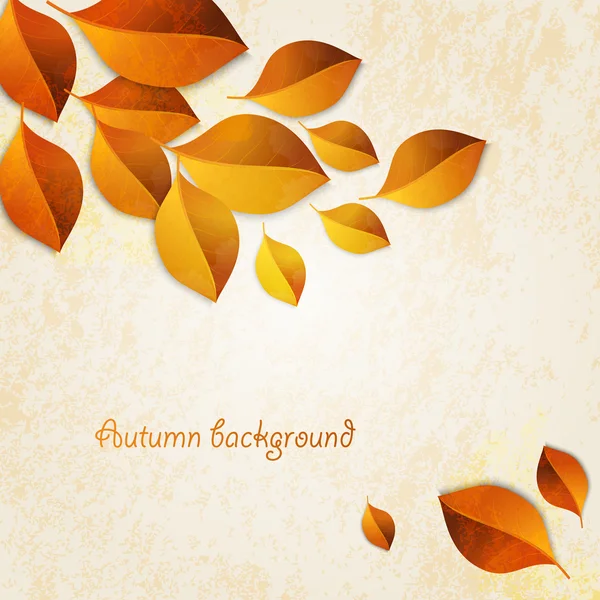 Autumn leaves design elements — Stock Vector