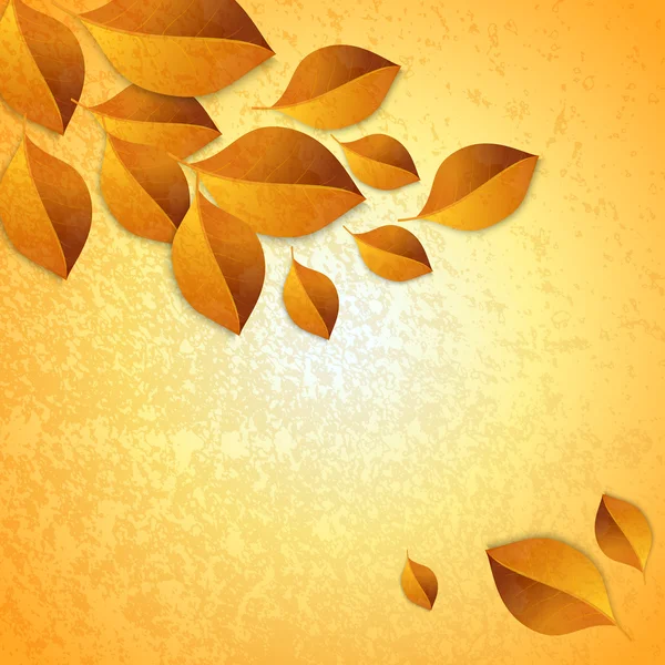 Autumn leaves design elements — Stock Vector