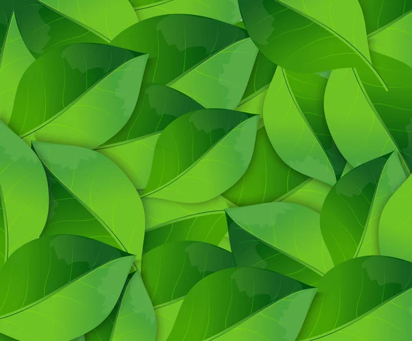 Fondo de primavera abstracto con hojas verdes — Vector de stock