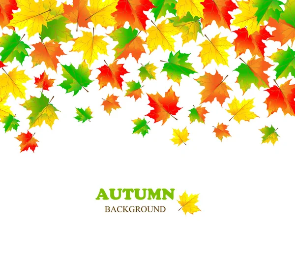 Beautiful autumn backdrop with color falling maple leaves. Place for text. — Stock Vector